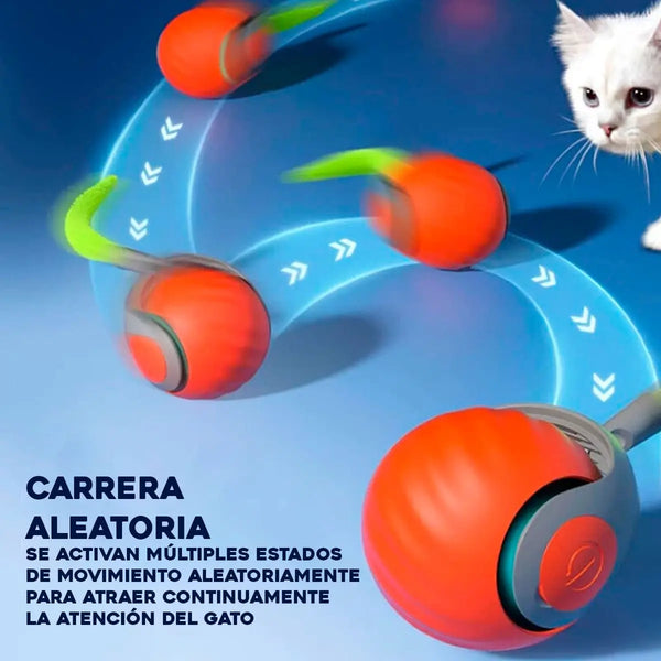 BigotitosTwist — La Solución Definitiva Contra el Aburrimiento y la Tristeza Oculta de Tu Gato
