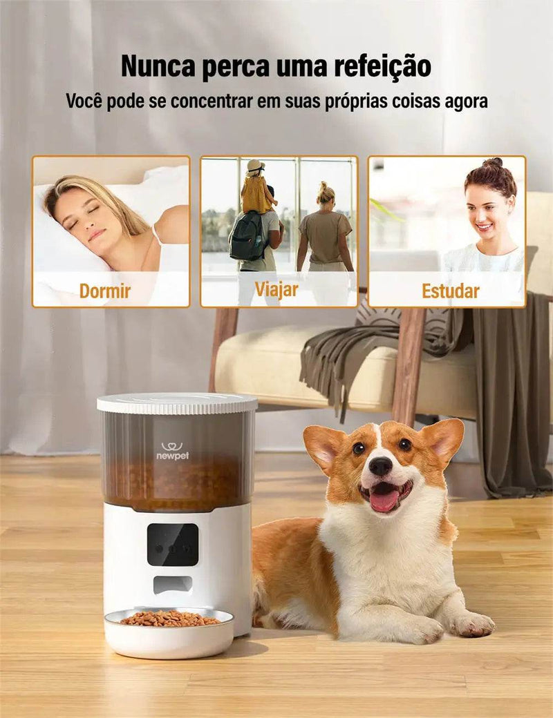 Alimentador Automático Inteligente Bigotitos FeedMaster 4L