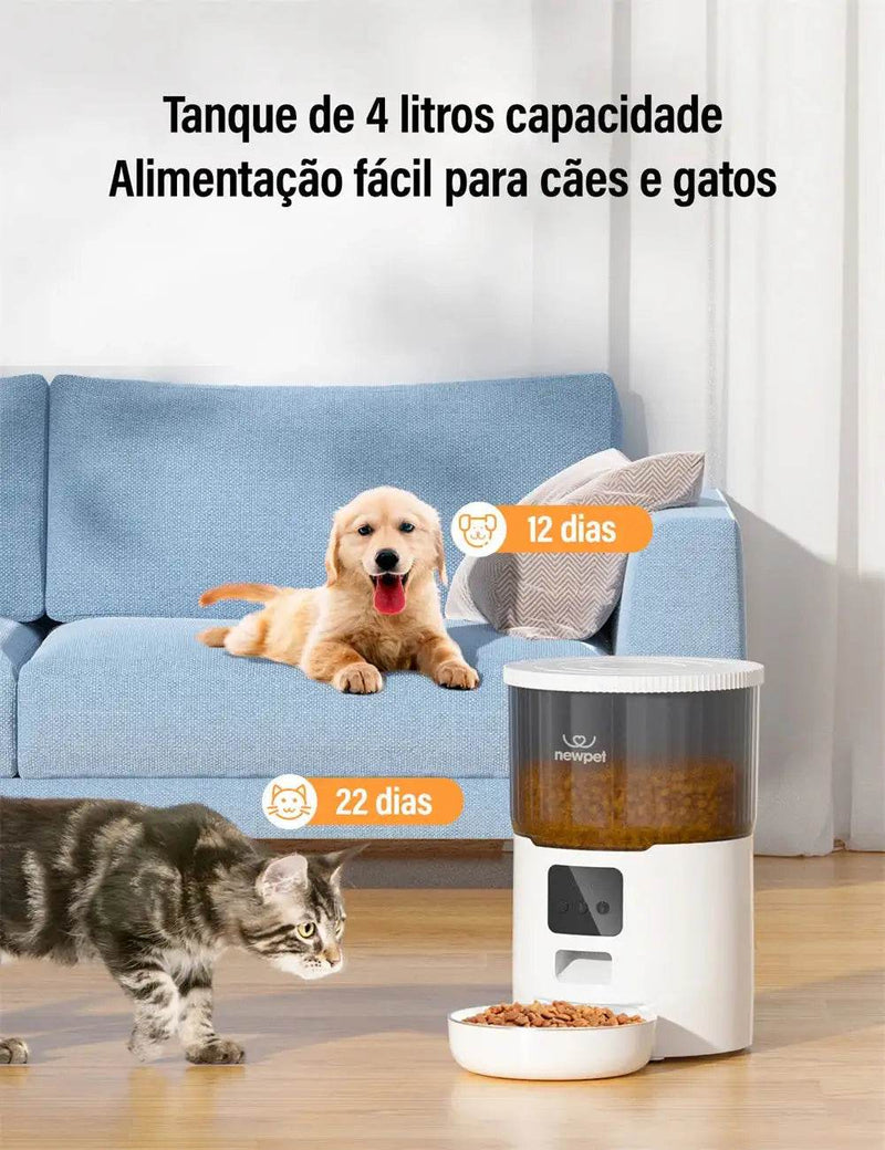 Alimentador Automático Inteligente Bigotitos FeedMaster 4L