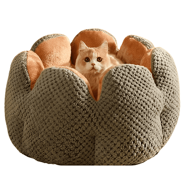 Máximo Confort: Cama Bigotitos Antiestrés para Gatos
