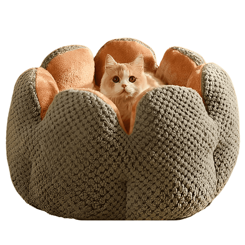 Máximo Confort: Cama Bigotitos Antiestrés para Gatos