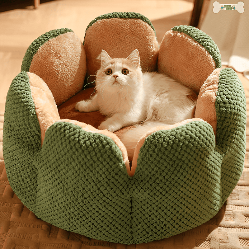 Máximo Confort: Cama Bigotitos Antiestrés para Gatos