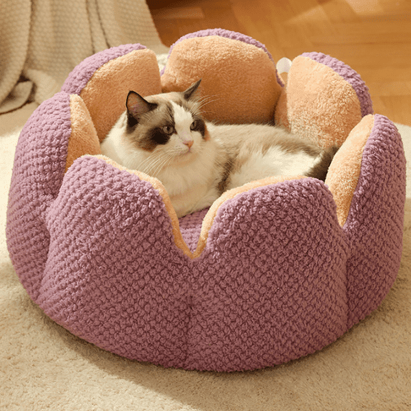 Máximo Confort: Cama Bigotitos Antiestrés para Gatos