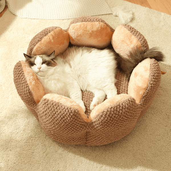 Máximo Confort: Cama Bigotitos Antiestrés para Gatos