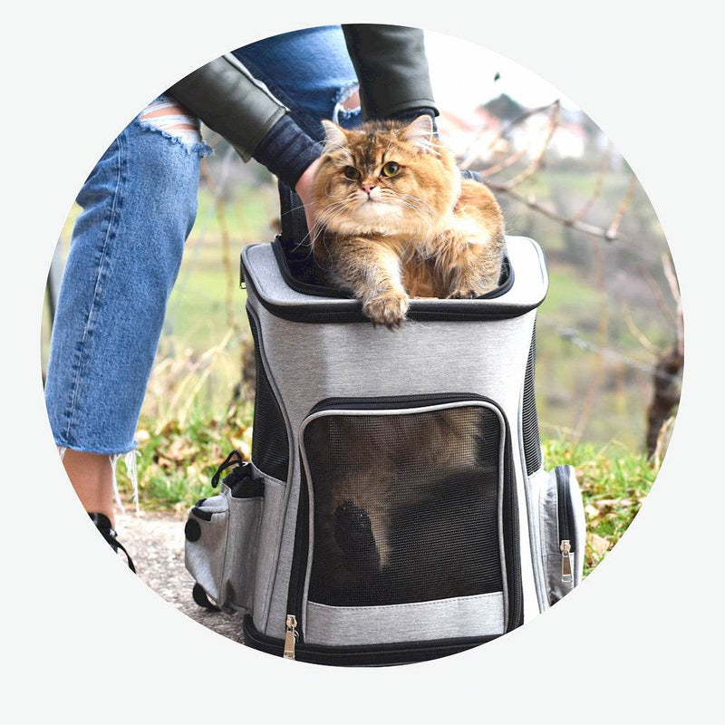 Bigotitos ConfortCarrier - Comodidad y Estilo para Tu Gato