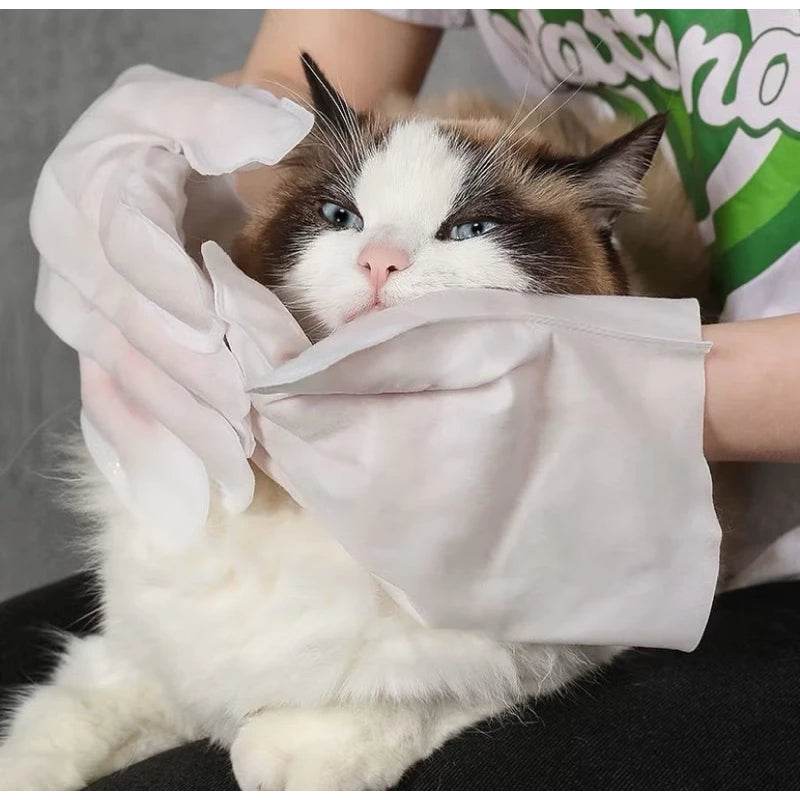 BigotitosLimp: Guantes Desechables para Higiene de Mascotas